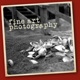 Fine Art Photography Thumbnail